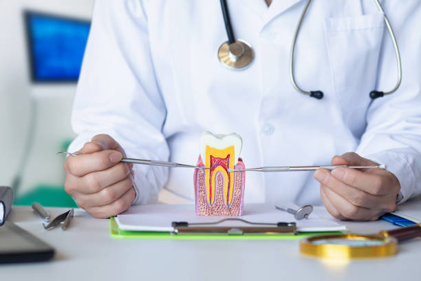 Best Emergency Treatment for Toothache in De Graff, OH